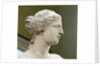 Detail of Venus de Milo by Anonymous