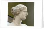 Detail of Venus de Milo by Anonymous