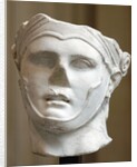 Roman portrait of Seleucus I Nicator by Anonymous