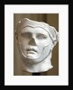 Roman portrait of Seleucus I Nicator by Anonymous