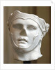 Roman portrait of Seleucus I Nicator by Anonymous