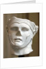 Roman portrait of Seleucus I Nicator by Anonymous