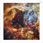 30 Doradus Nebula in the Large Magellanic Cloud by Anonymous