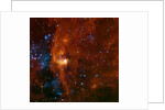 Star forming region of the Milky Way Galaxy by Anonymous