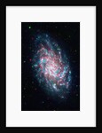 Triangulum Galaxy by Anonymous