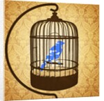 Bird in a cage by Anonymous