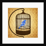 Bird in a cage by Anonymous