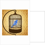 Bird in a cage by Anonymous