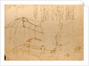 Drawing of flying machine with beating wings by Leonardo da Vinci