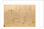 Drawing of flying machine with beating wings by Leonardo da Vinci