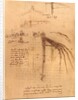 Sketch for a wing with moveable ends by Leonardo da Vinci
