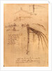 Sketch for a wing with moveable ends by Leonardo da Vinci
