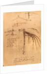 Sketch for a wing with moveable ends by Leonardo da Vinci