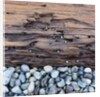 Pebbles in front of Tree Trunk by Anonymous