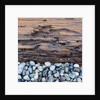 Pebbles in front of Tree Trunk by Anonymous