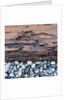 Pebbles in front of Tree Trunk by Anonymous