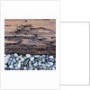 Pebbles in front of Tree Trunk by Anonymous