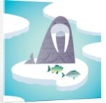 Walrus on pack ice by Anonymous