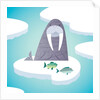 Walrus on pack ice by Anonymous