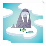 Walrus on pack ice by Anonymous