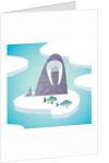 Walrus on pack ice by Anonymous
