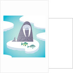 Walrus on pack ice by Anonymous