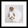 White and tan rabbit by Anonymous
