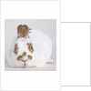White and tan rabbit by Anonymous