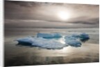 Melting Sea Ice, Svalbard, Norway by Anonymous