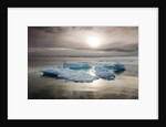 Melting Sea Ice, Svalbard, Norway by Anonymous