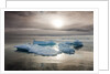 Melting Sea Ice, Svalbard, Norway by Anonymous