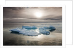 Melting Sea Ice, Svalbard, Norway by Anonymous