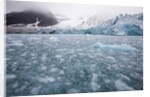 Glacier, Spitsbergen Island, Svalbard, Norway by Anonymous