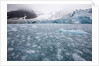 Glacier, Spitsbergen Island, Svalbard, Norway by Anonymous