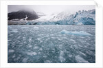 Glacier, Spitsbergen Island, Svalbard, Norway by Anonymous