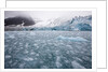 Glacier, Spitsbergen Island, Svalbard, Norway by Anonymous