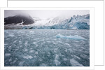 Glacier, Spitsbergen Island, Svalbard, Norway by Anonymous