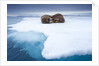 Sleeping walruses, Svalbard, Norway by Anonymous