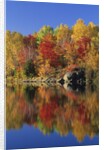 Simon Lake Reflection, Naughton, Ontario, Canada by Anonymous