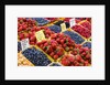 Jean Talon Market with Fresh Berries on Display, Montreal, Quebec, Canada by Anonymous