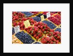 Jean Talon Market with Fresh Berries on Display, Montreal, Quebec, Canada by Anonymous