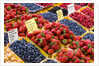 Jean Talon Market with Fresh Berries on Display, Montreal, Quebec, Canada by Anonymous