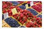 Jean Talon Market with Fresh Berries on Display, Montreal, Quebec, Canada by Anonymous