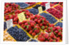 Jean Talon Market with Fresh Berries on Display, Montreal, Quebec, Canada by Anonymous