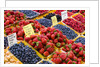 Jean Talon Market with Fresh Berries on Display, Montreal, Quebec, Canada by Anonymous