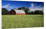 A Field of Wheat and Barn, Myrtle, Manitoba, Canada by Anonymous