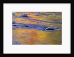 Autumn Reflections on Little White River, Elliot Lake, Ontario, Canada by Anonymous