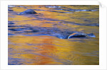 Autumn Reflections on Little White River, Elliot Lake, Ontario, Canada by Anonymous