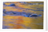Autumn Reflections on Little White River, Elliot Lake, Ontario, Canada by Anonymous