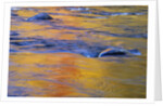 Autumn Reflections on Little White River, Elliot Lake, Ontario, Canada by Anonymous